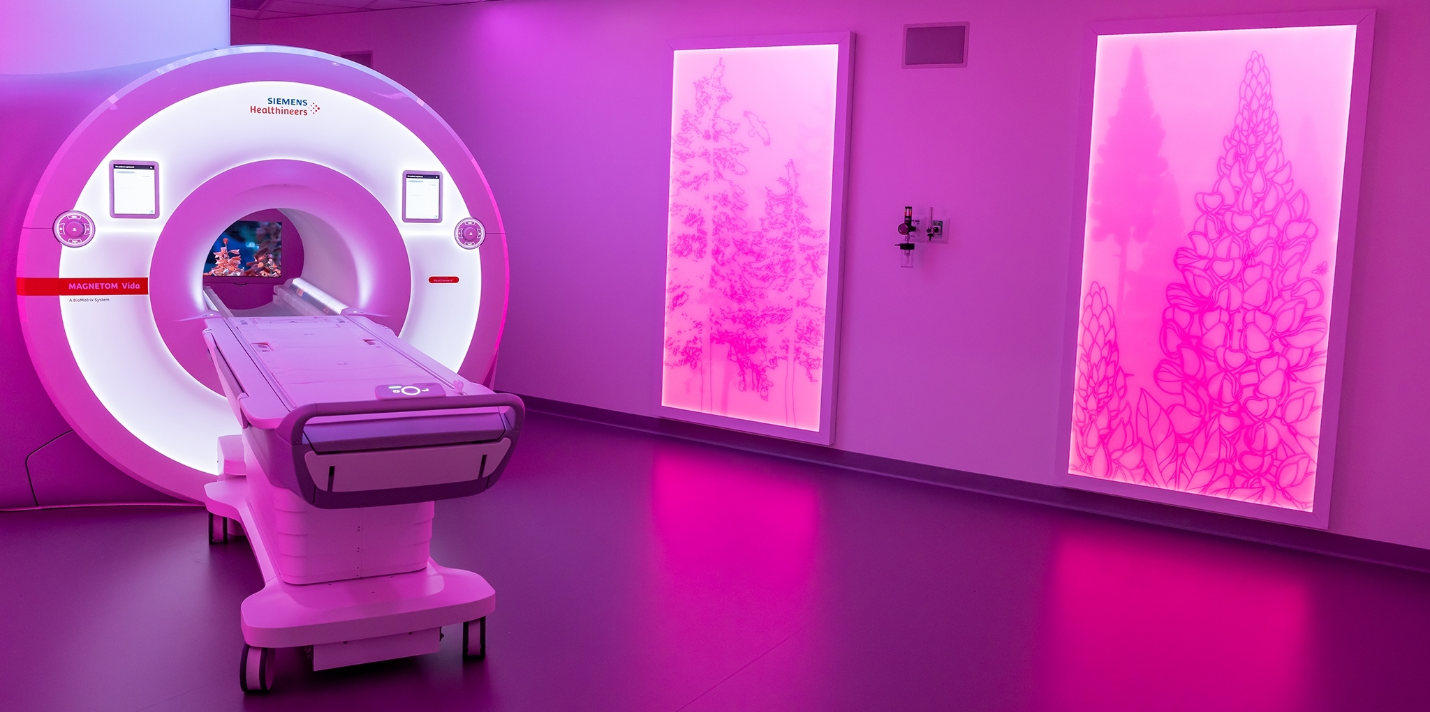 cover-MRI-new copy.jpg