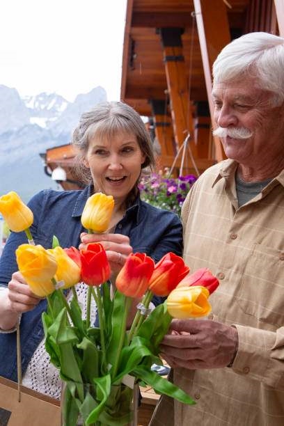 istockphoto-1429388720-612x612.jpg